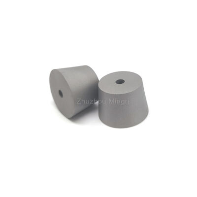 RIXIN Carburo di Tungsteno Stampi Lucidati OEM Personalizzabile Grado YG20 Elevata Resistenza alla Flessione Elevata Resistenza all'Usura e agli Impatti 3 Anni