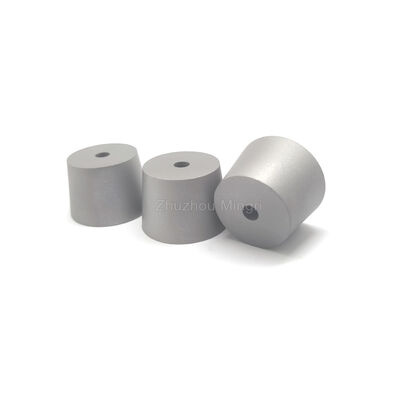 RIXIN Carburo di Tungsteno Stampi Lucidati OEM Personalizzabile Grado YG20 Elevata Resistenza alla Flessione Elevata Resistenza all'Usura e agli Impatti 3 Anni