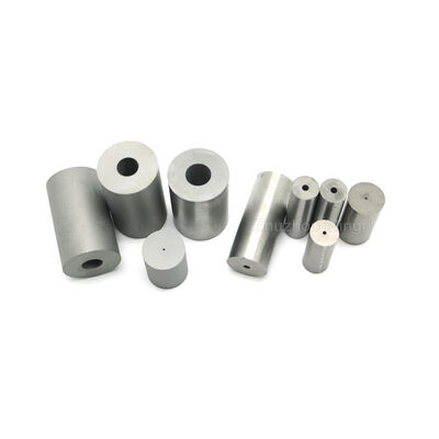 RIXIN Carburo di Tungsteno Stampi Lucidati OEM Personalizzabile Grado YG20 Elevata Resistenza alla Flessione Elevata Resistenza all'Usura e agli Impatti 3 Anni