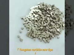 Il tungsteno Carnbide di Customzed ha visto le punte per il cobalto del WC della roccia più dura/MR8-B MR9-B