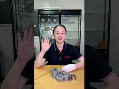 Il carburo di tungsteno Puching muore per le parti di perforazione dello strumento della muffa